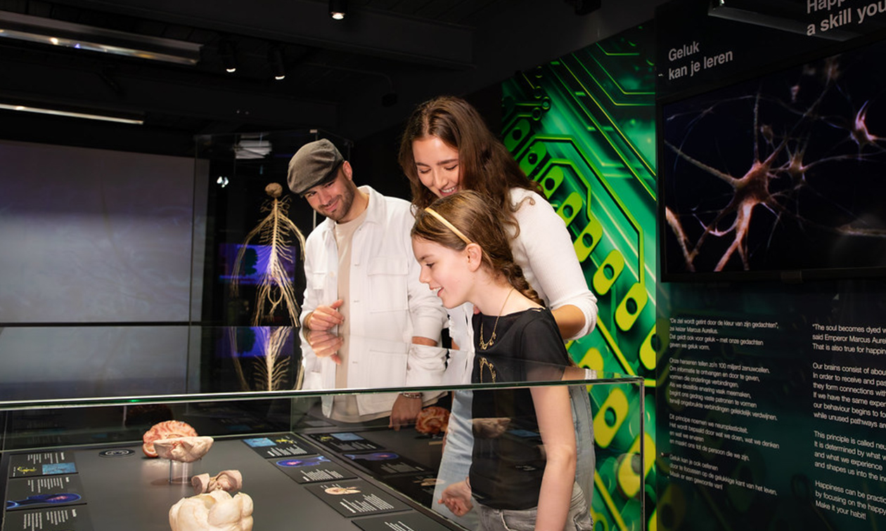 BODY WORLDS: The Happiness Project