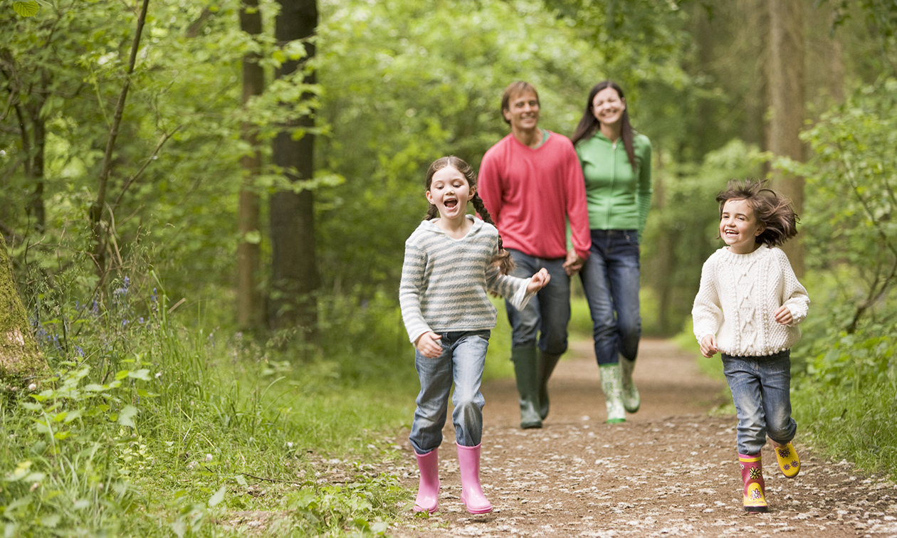 Bospaviljoen de Norgerberg