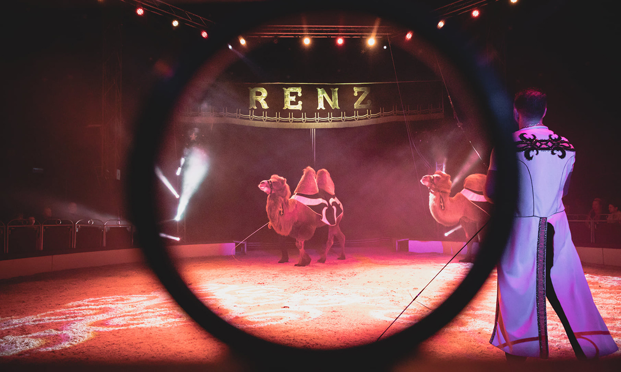 Circus Renz International