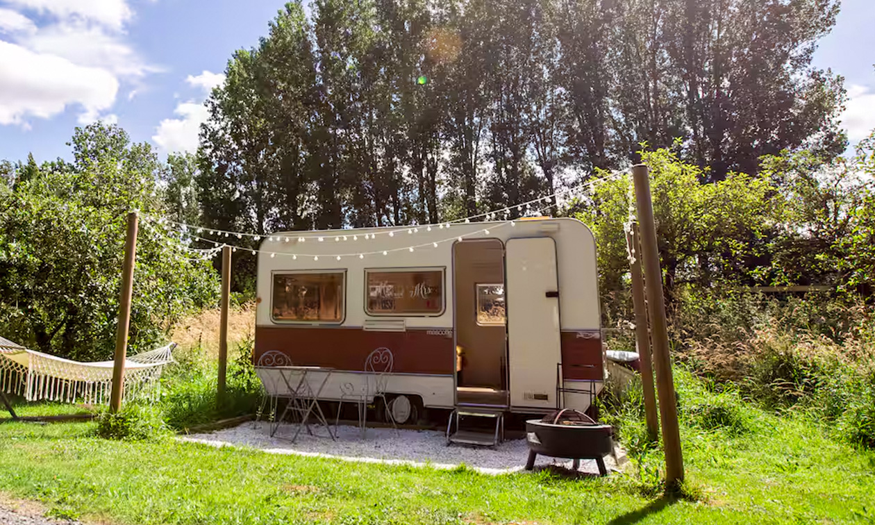 Domaine Butterfly
