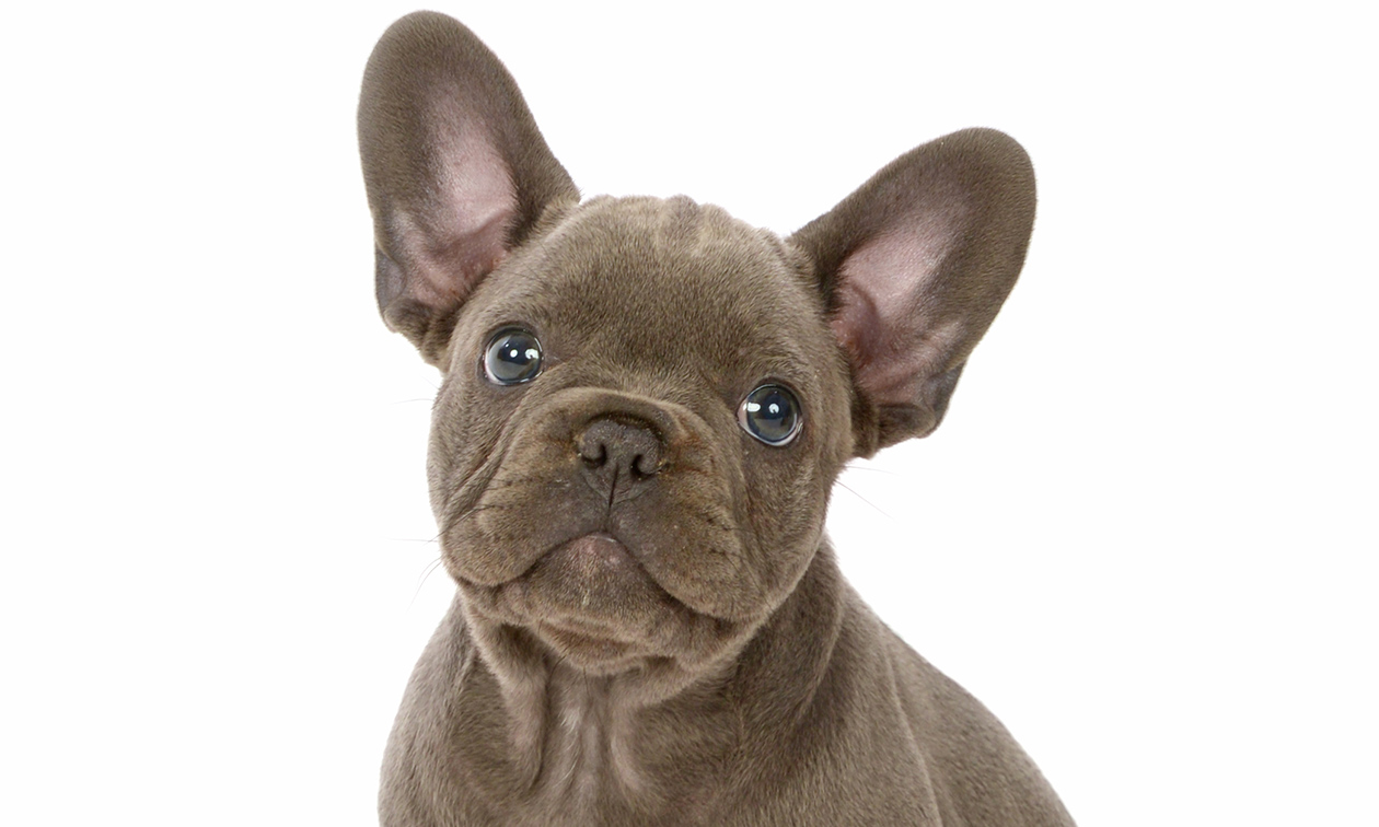 Fotostudio Brunssum