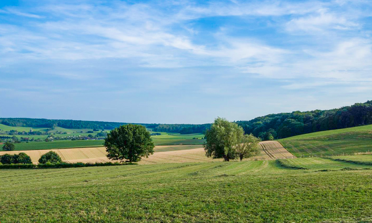Gasterij Berg & Dal