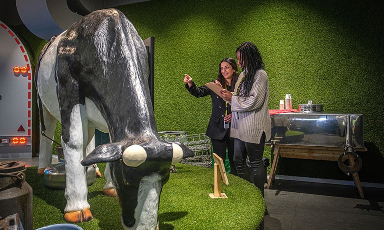 Gouda Cheese Experience x Siroopwafelfabriek