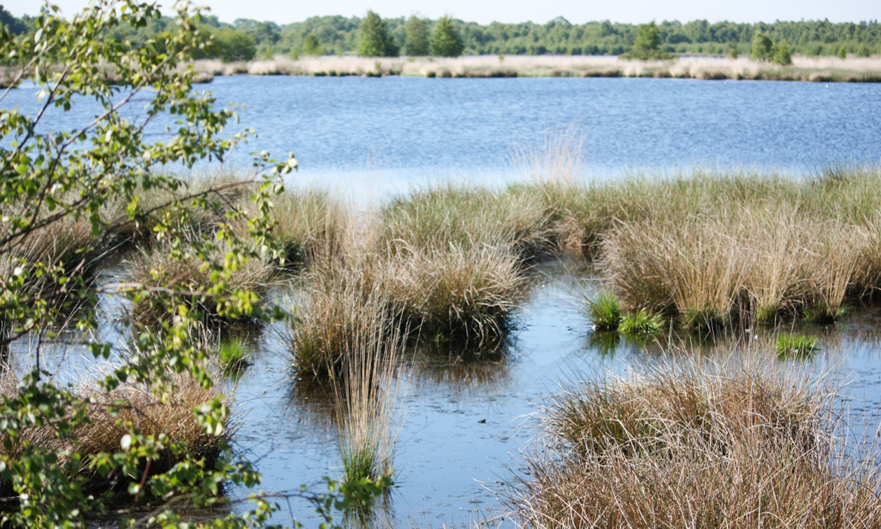 Herterij Twente