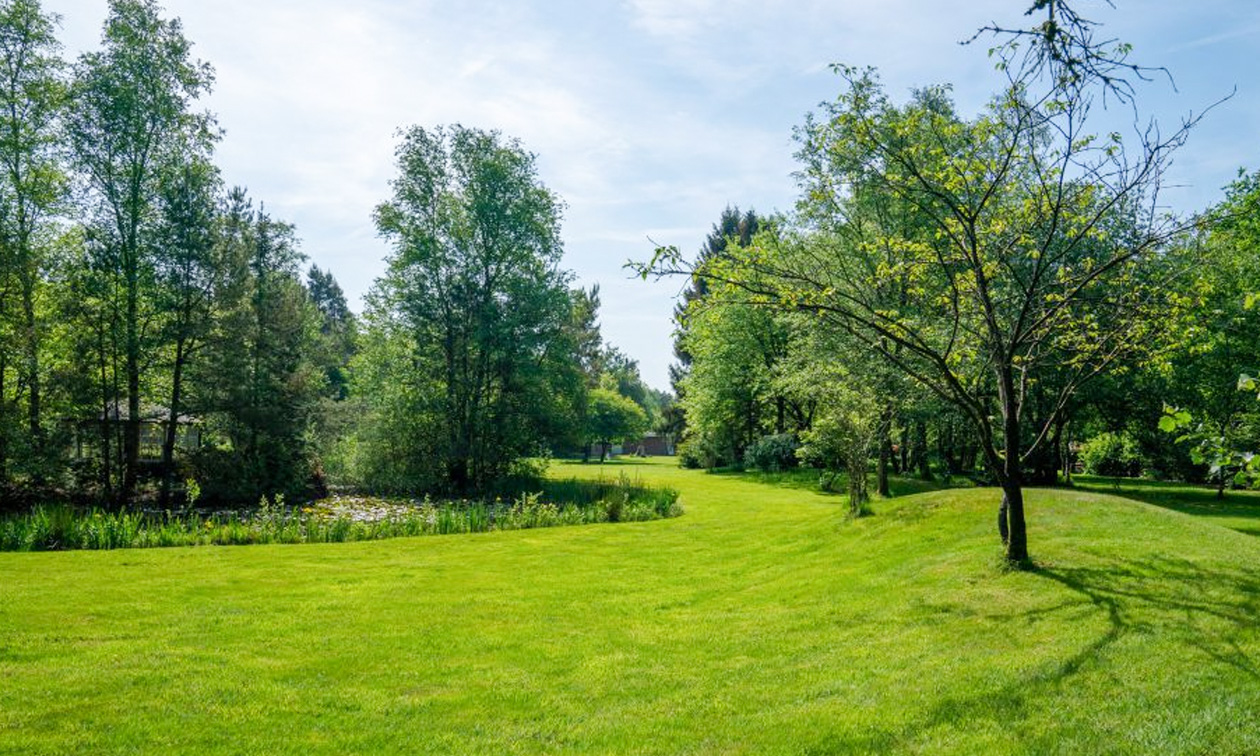 Het Bovenveen