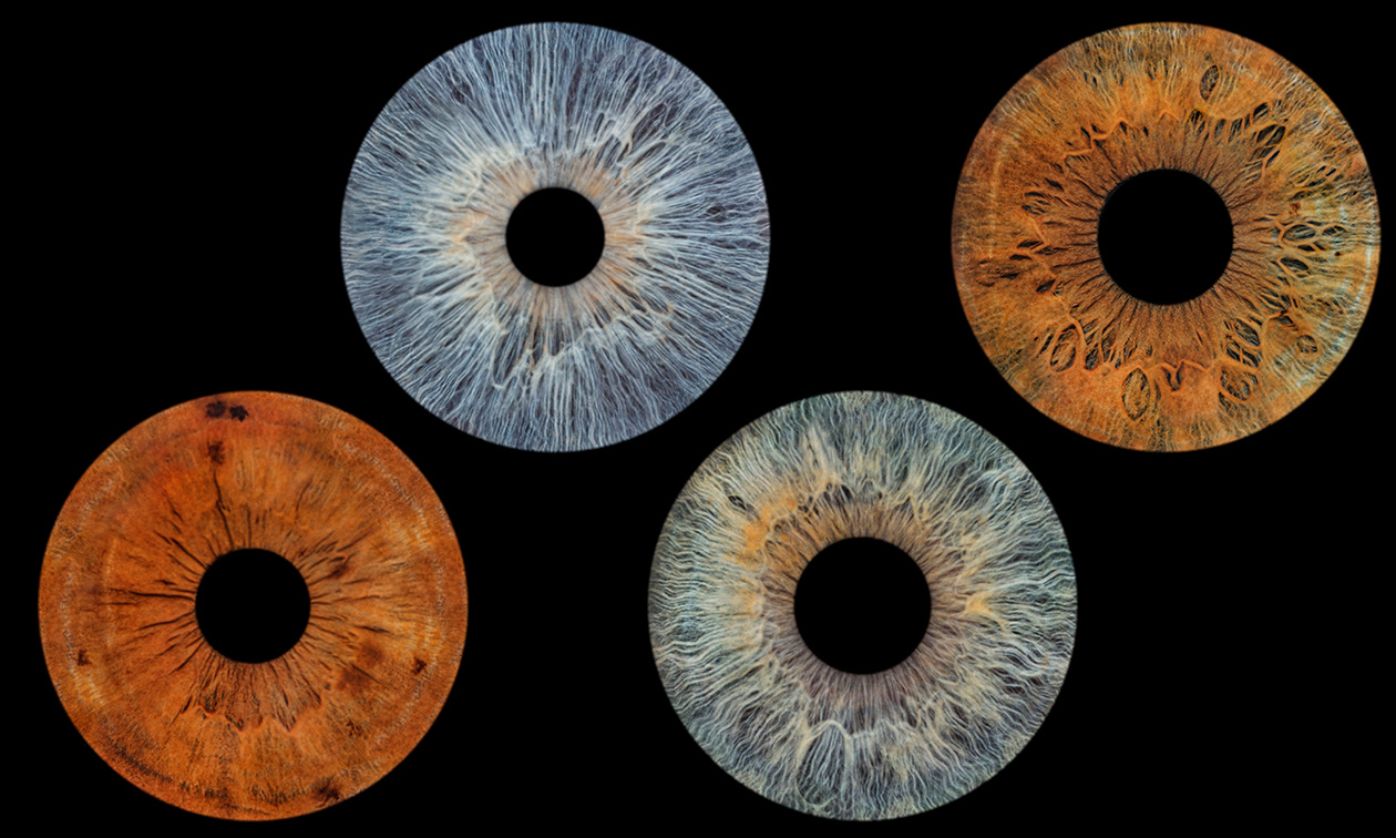 Het Oog Atelier