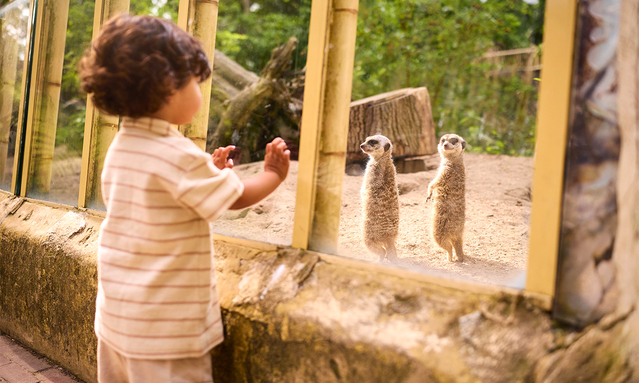 Ouwehands Dierenpark Rhenen