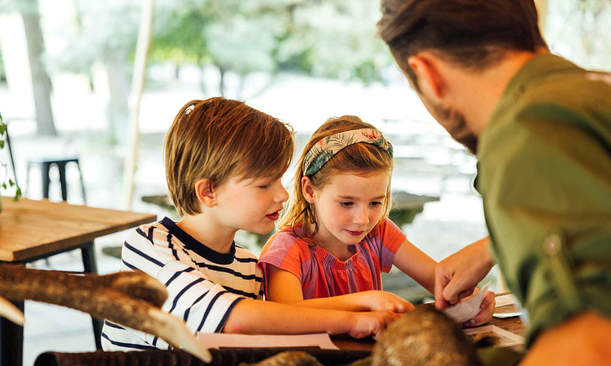 Safaripark + Speelland Beekse Bergen