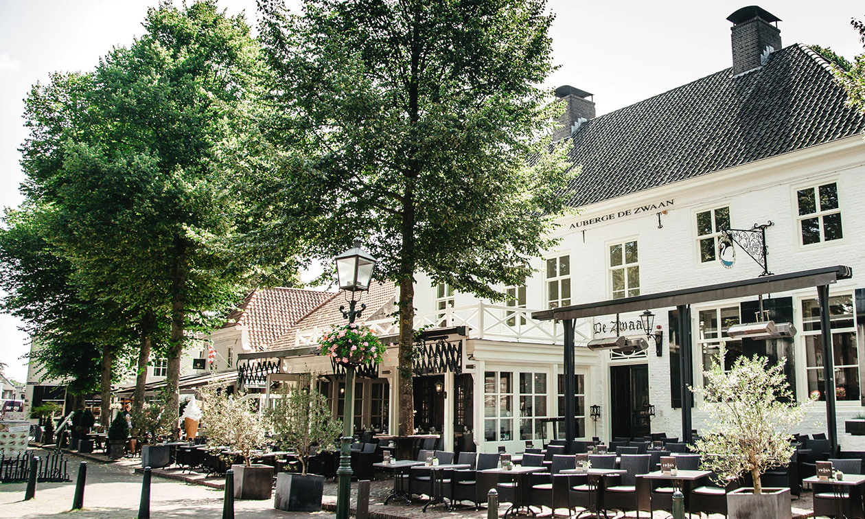 SNTZL. De Zwaan