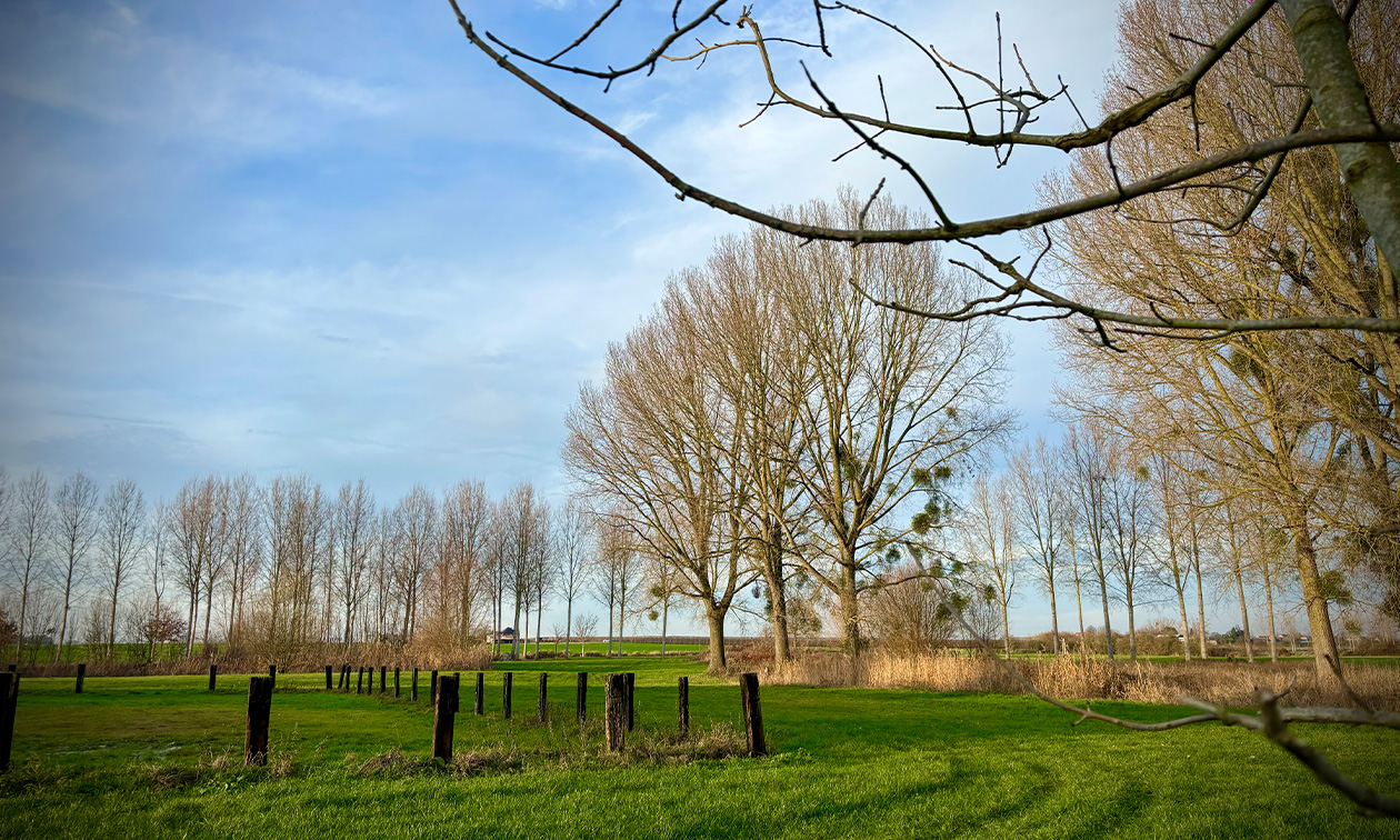 't Rood Kasteel