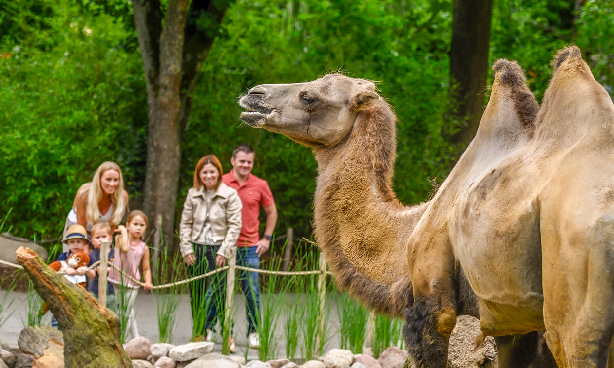 Tiergarten Kleve