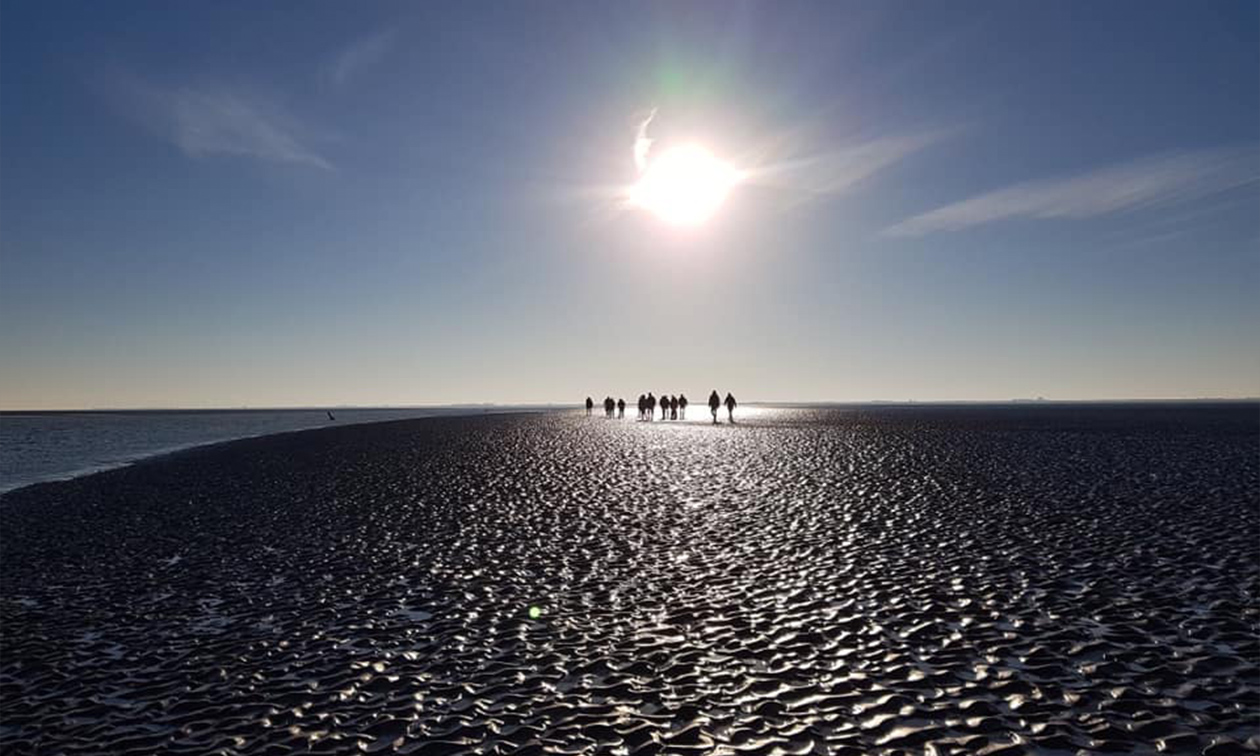 Wadlopen Pieterburen
