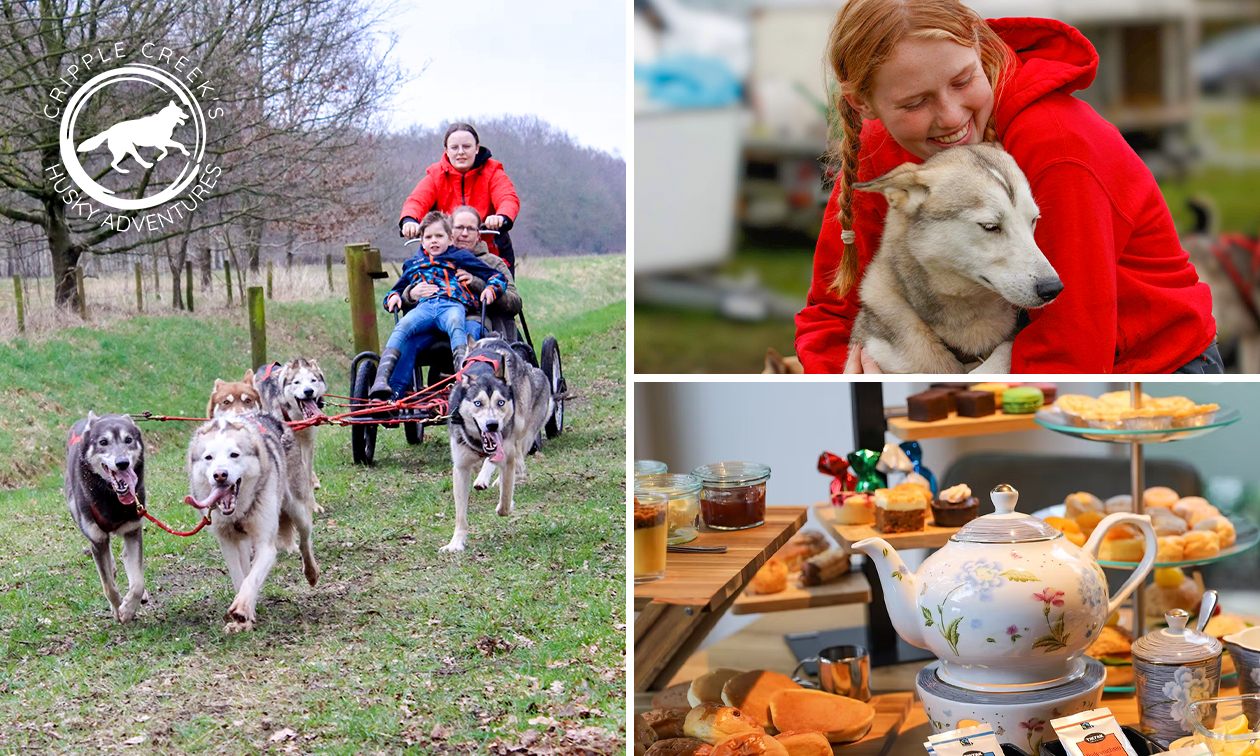 Huskyactiviteit naar keuze Huskyactiviteit naar keuze