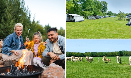2, 5 ou 7 nuits de camping pour 2 + électricité + douches + eau chaude à Ruurlo