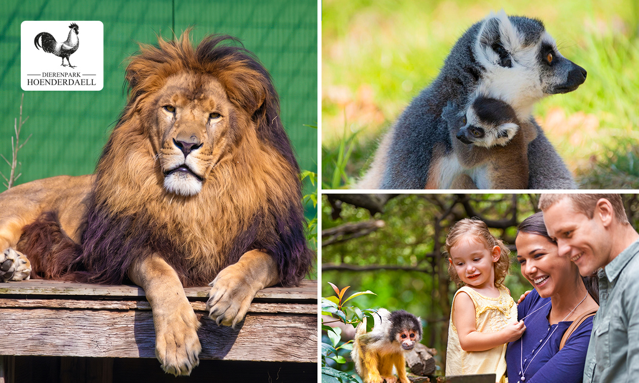 Entree voor Dierenpark Hoenderdaell