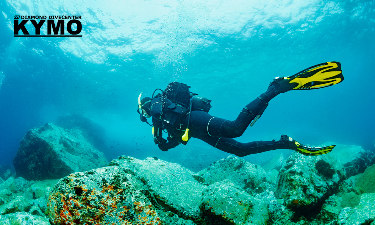 SSI Try Scuba-introductieduik of SSI Scuba Diver-duikcursus (voor 1 of 2 pers.)