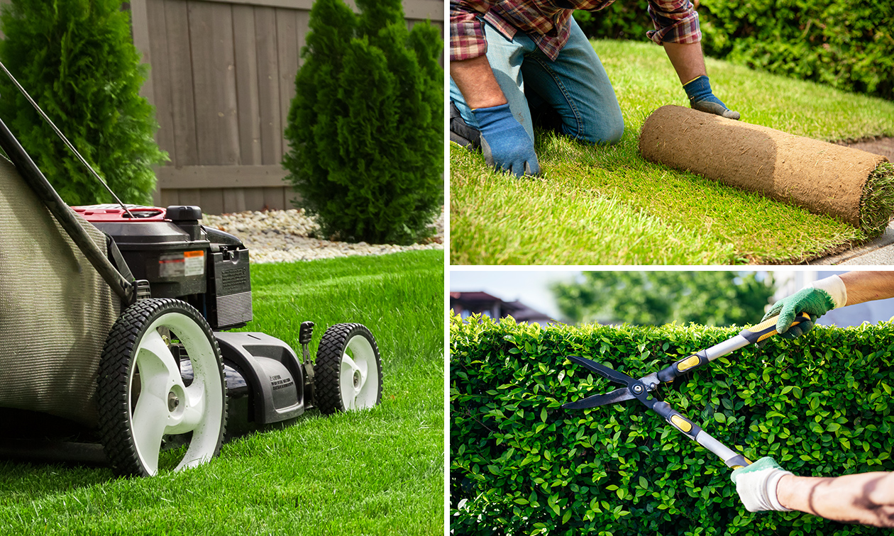 Tuinonderhoud (1 of 2 keer van 2 manuren) of bestrating intake + 10, 20 of 30 m² bestrating