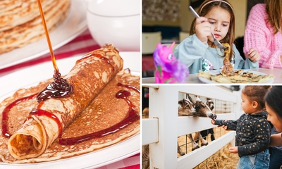 Pannenkoek + drankje + toegang tot de kinderboerderij