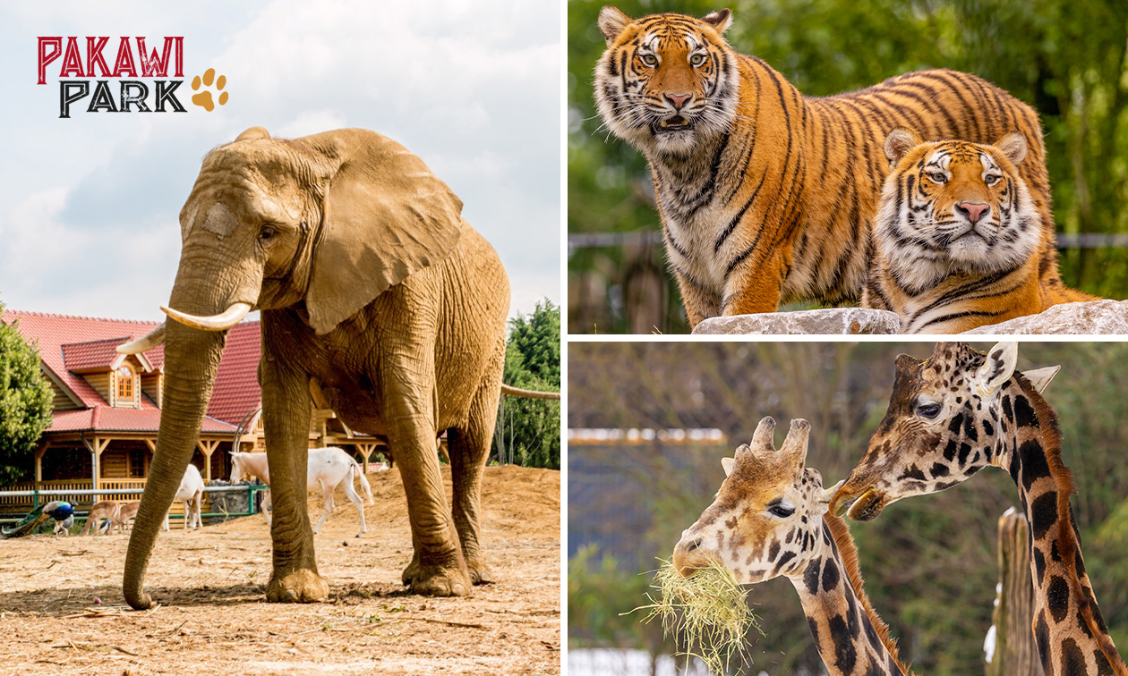 Entree Pakawi Park Entree Pakawi Park