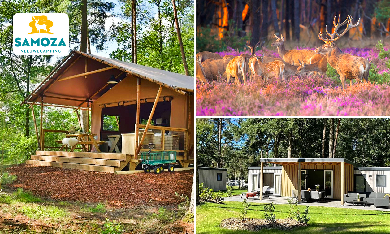 (Mid)week of weekend in een lounge of lodge (2-6 personen) + welkomstpakket