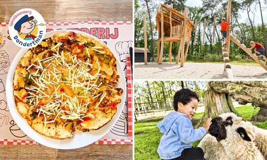 Entree speelboerderij + pannenkoek + nagerecht