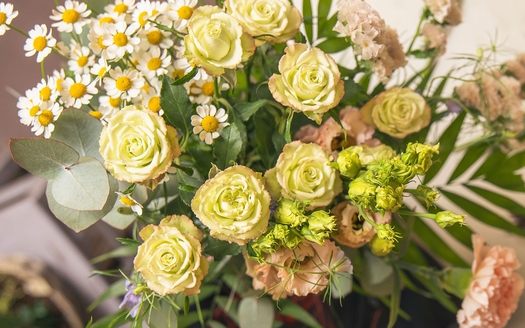 Blomster til HALV pris