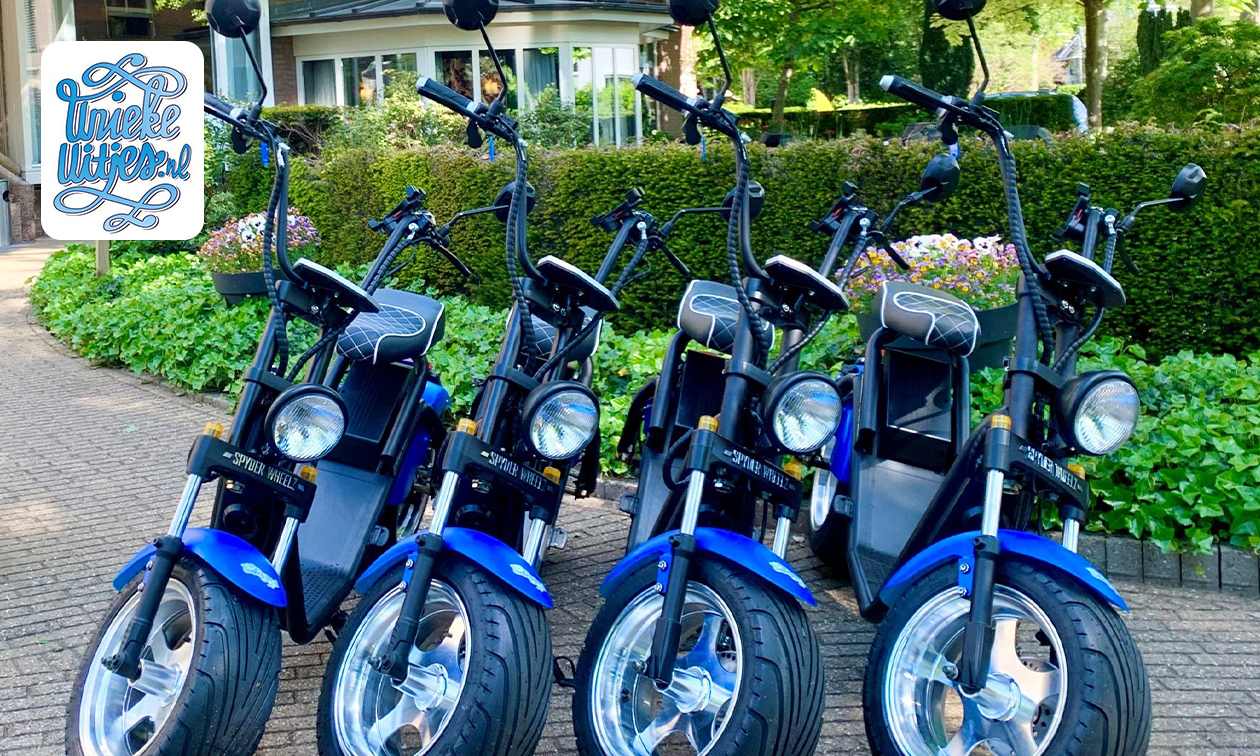 Huur E-chopper of E-scooter (1, 2 of 3 uur)