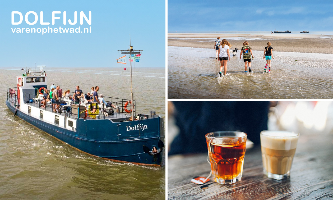 Vaartocht op de Waddenzee (2 of 4 uur) of toegang Wadden Muziek Evenement