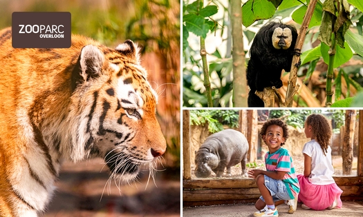 Eintritt ZooParc Overloon